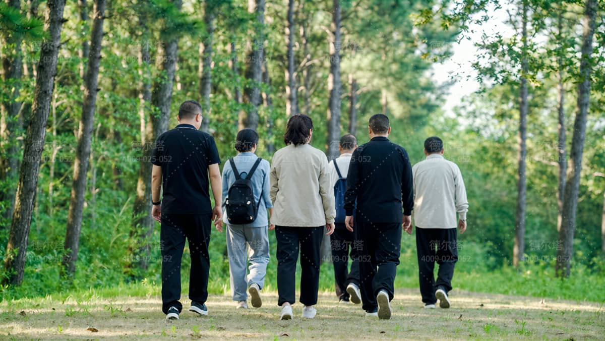 八段锦练习-林间场景