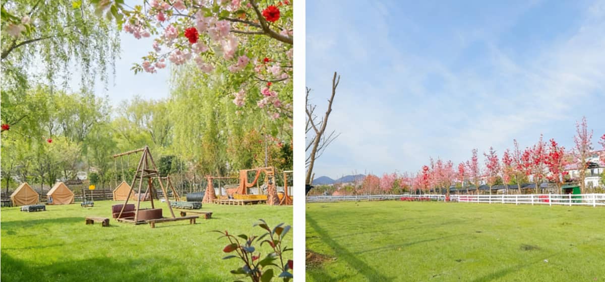 杭州丰硕欢乐农场超大草坪