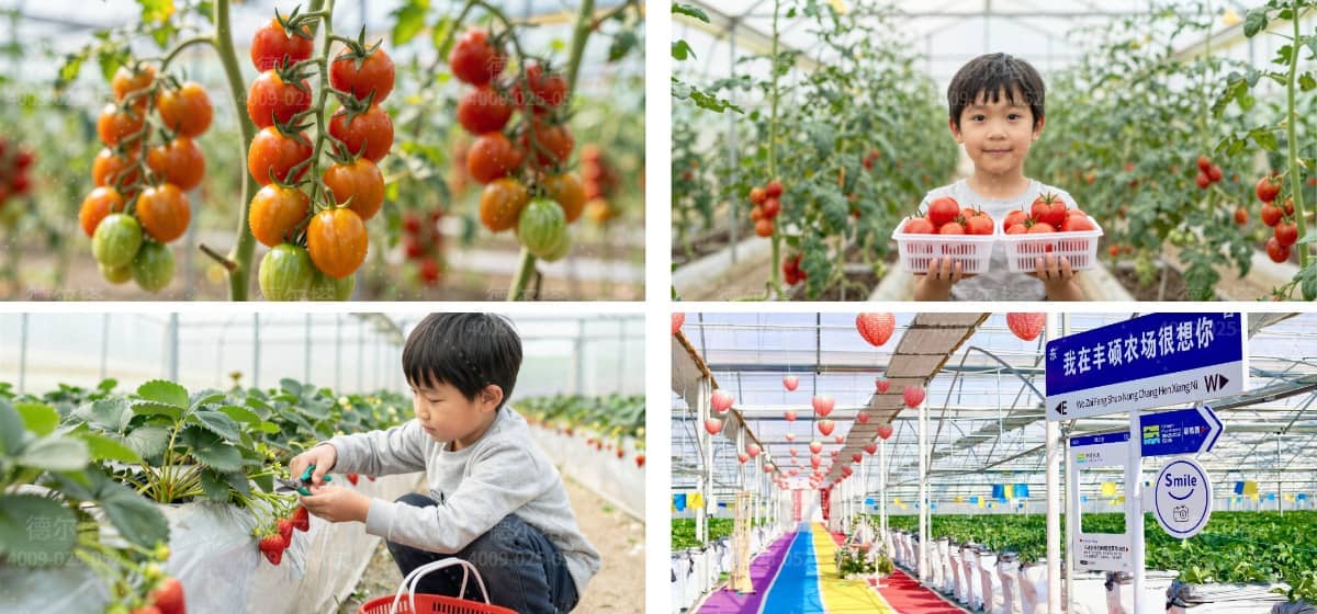 杭州农场团建采摘体验