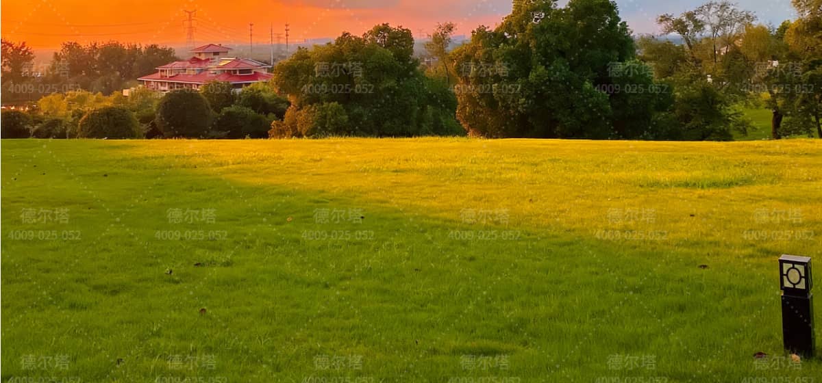 水墨大埝配图 (14)-tuya.jpg