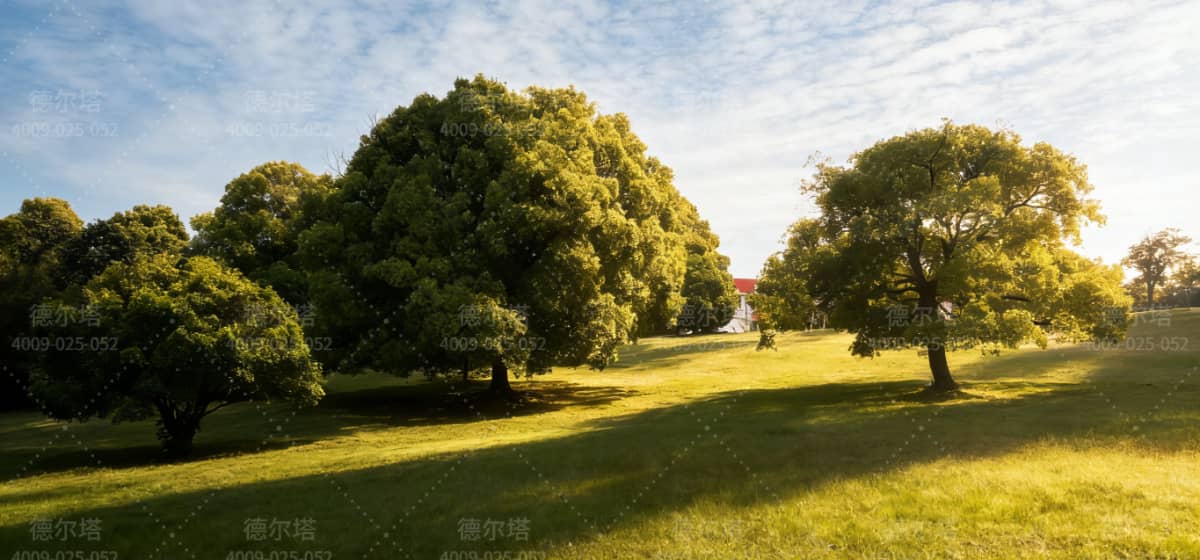 水墨大埝配图 (12)-tuya.jpg