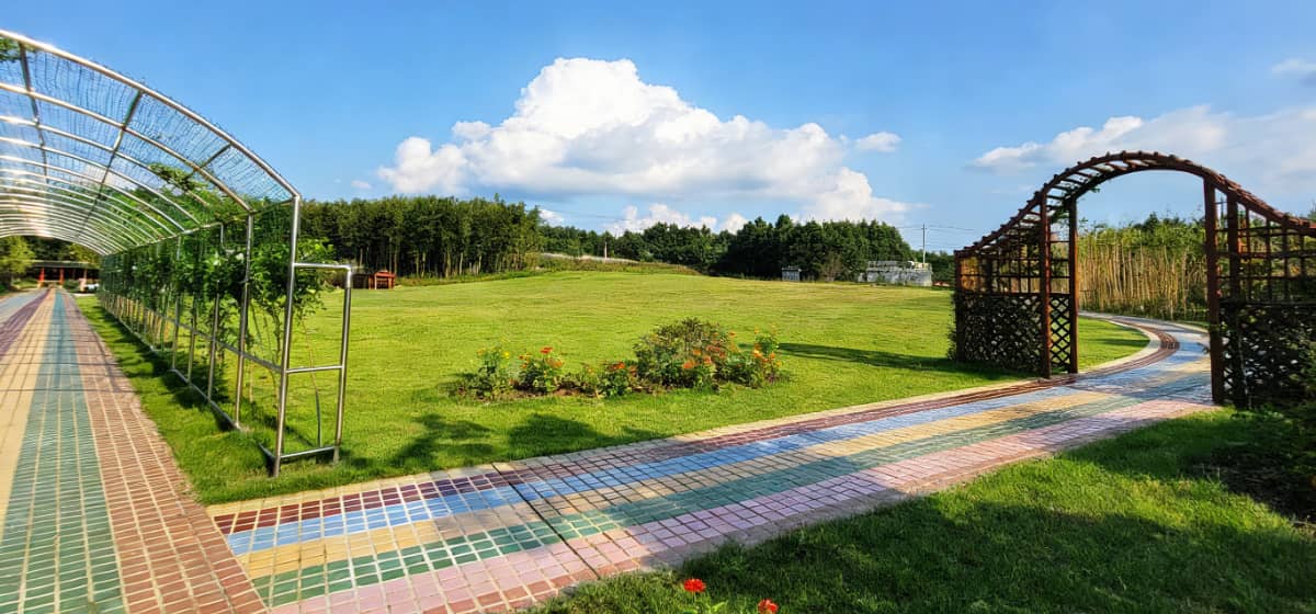 万平草坪｜趣味运动会 · 军训团建 · 大型主题活动