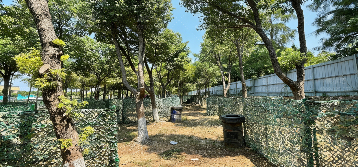 晨虹营地夜间活动与露营