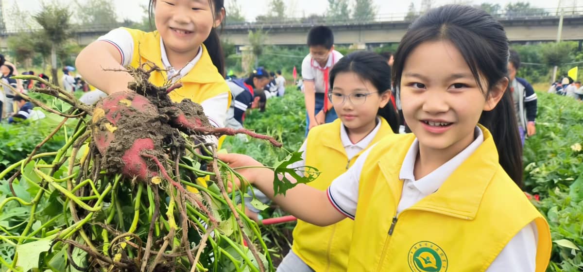 水墨大埝配图 (13)(1) (1)-tuya.jpg