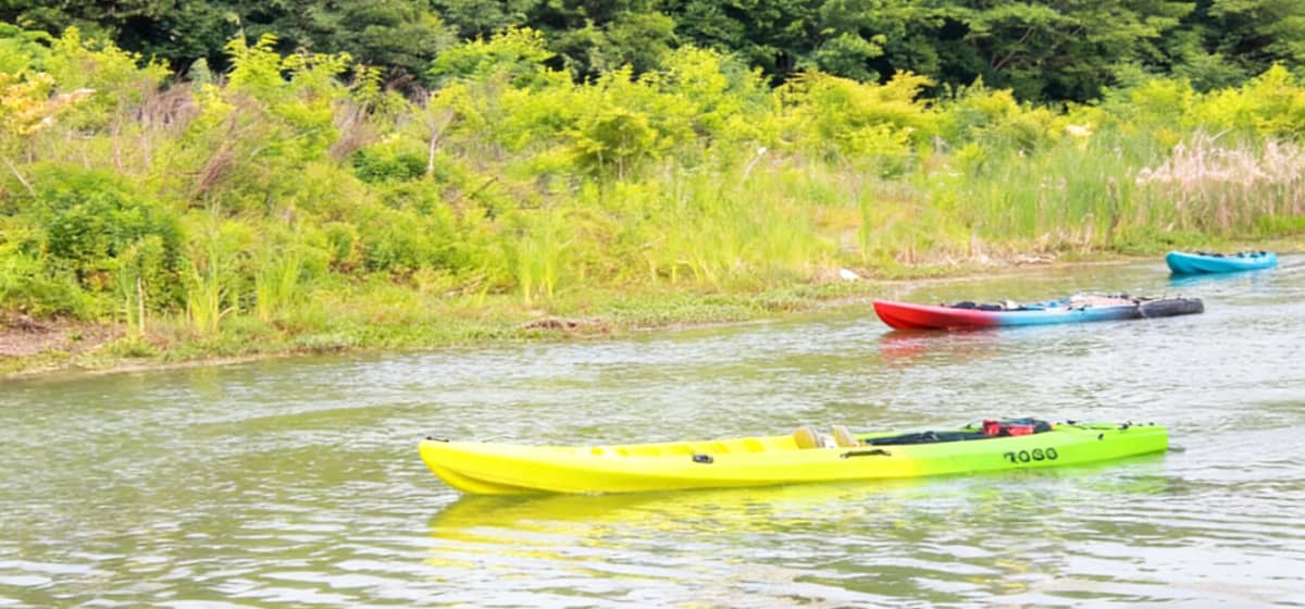 河岸花海拓展基地