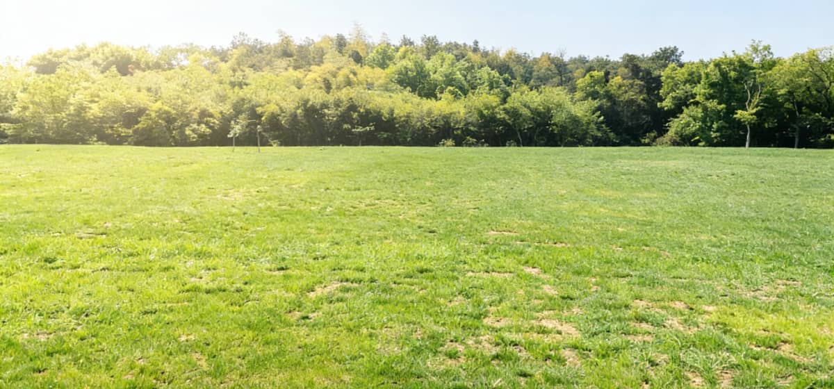 石湫影视基地草坪团建