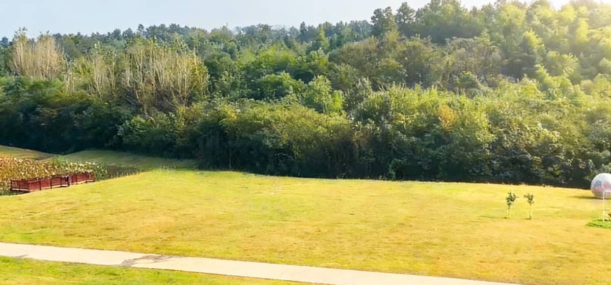 石湫影视基地草坪团建